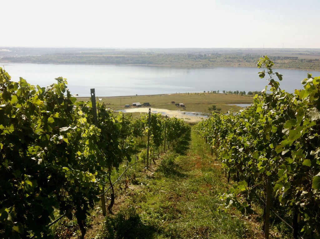 Radtour-Geiseltalsee